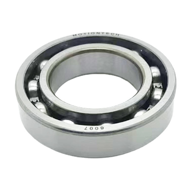 Chemische Lager für die Industrie 6007 Dichte Schleusen Kugellager für langlebige